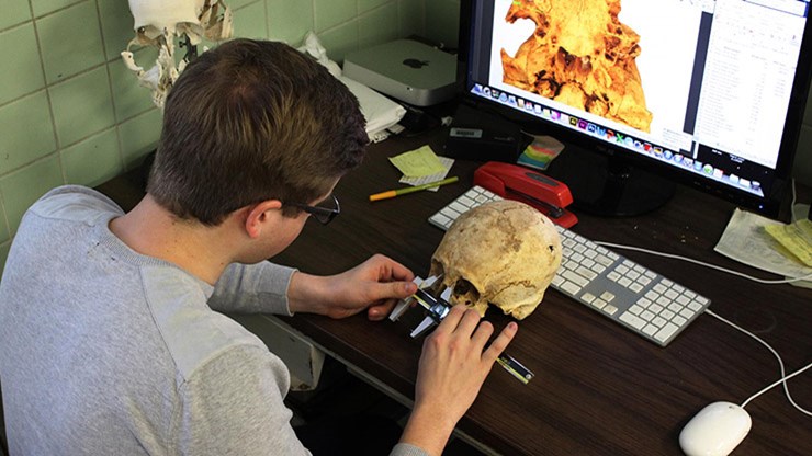 An anthropology major measures a human skull at a desk with an imaging program pulled up on his computer.