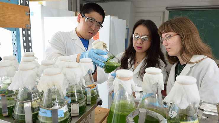 Three biosystems engineering learners wearing protective lab gear examine beakers filled with a green, frothy liquid.
