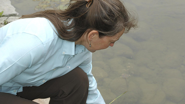 Close-up of an adult student pursuing an environmental engineering degree reaching into a river as she studies its contents.