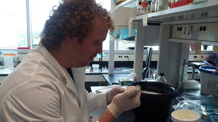 An MSU student wearing a white lab coat studies environmental microbiology using lab equipment.