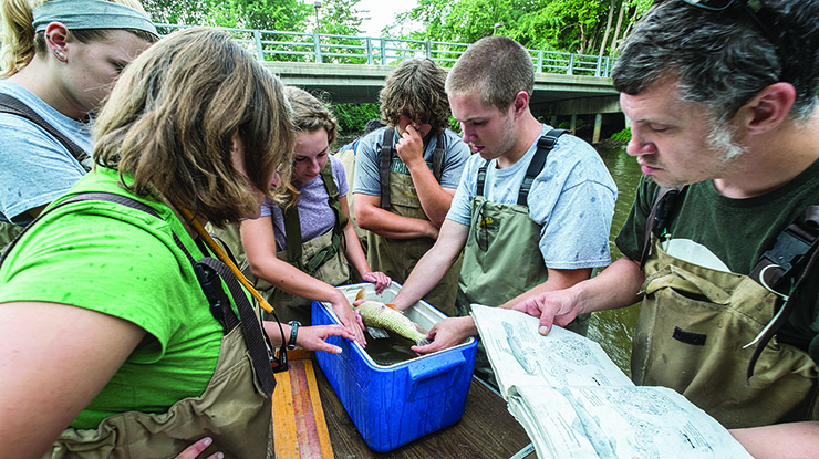 On an overcast summer day, students pursuing a fisheries and wildlife degree stand around a cooler and examine a fish.