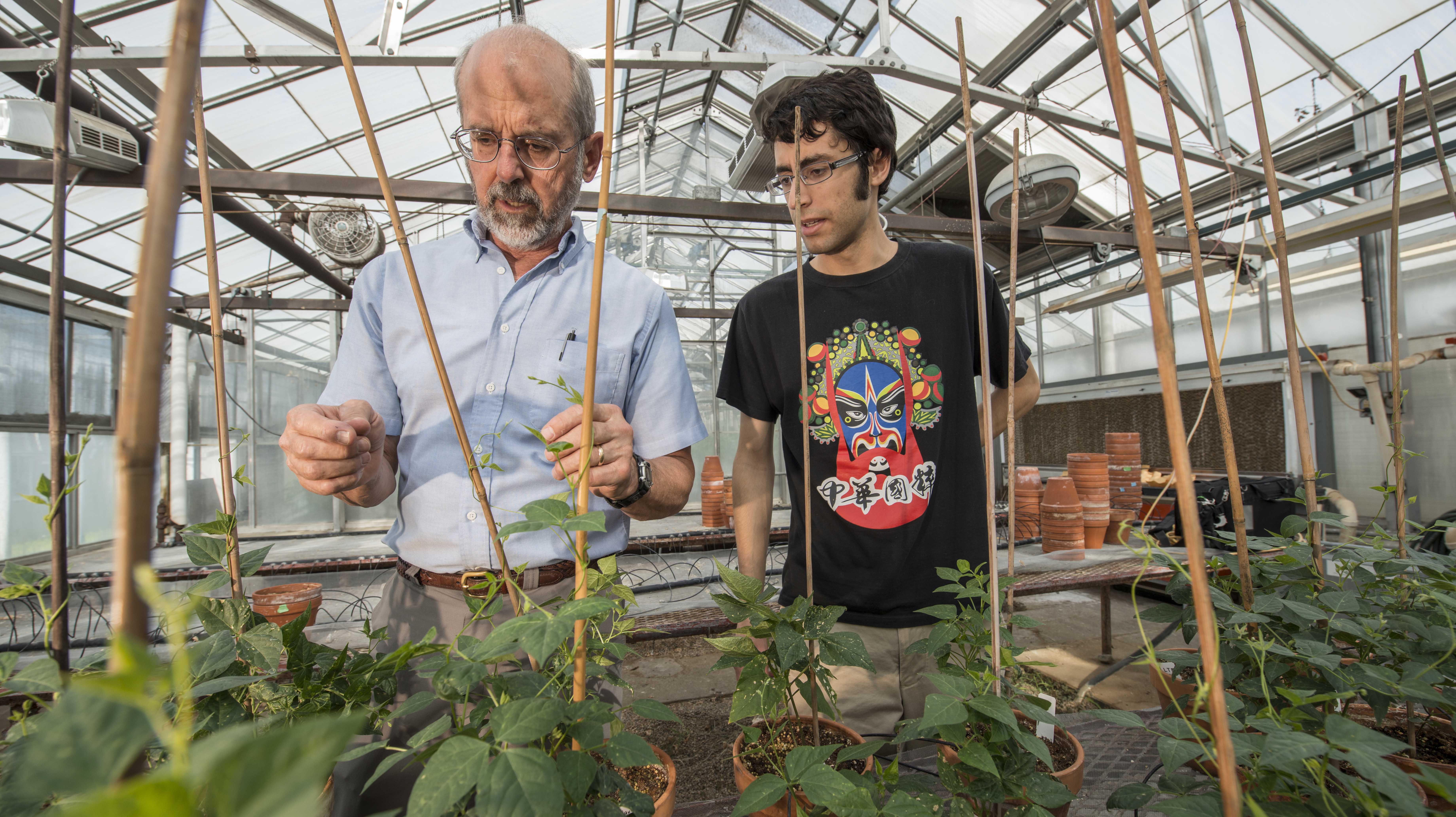 A professor shows a student working on a horticulture degree how to tend to plants in a greenhouse.