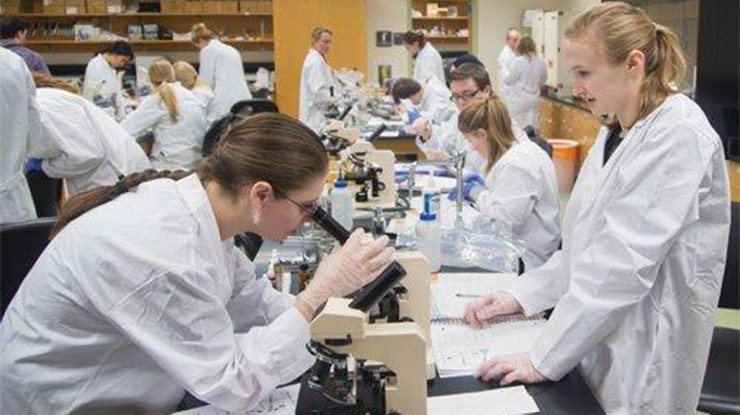 A busy classroom full of preoptometry majors wearing white lab coats, looking into microscopes and working on assignments.