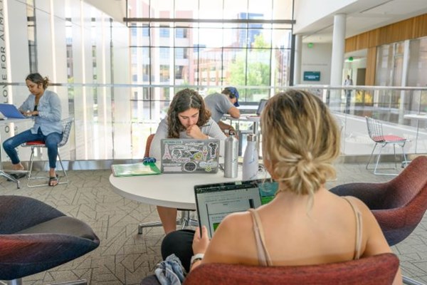 Students studying intently on laptops in a well-lit gathering space within Minskoff Pavilion at Michigan State University